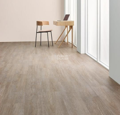 Forbo Allura Click Pro 60295CL5 pure oak60293CL5 steamed oak фото 2 | FLOORDEALER